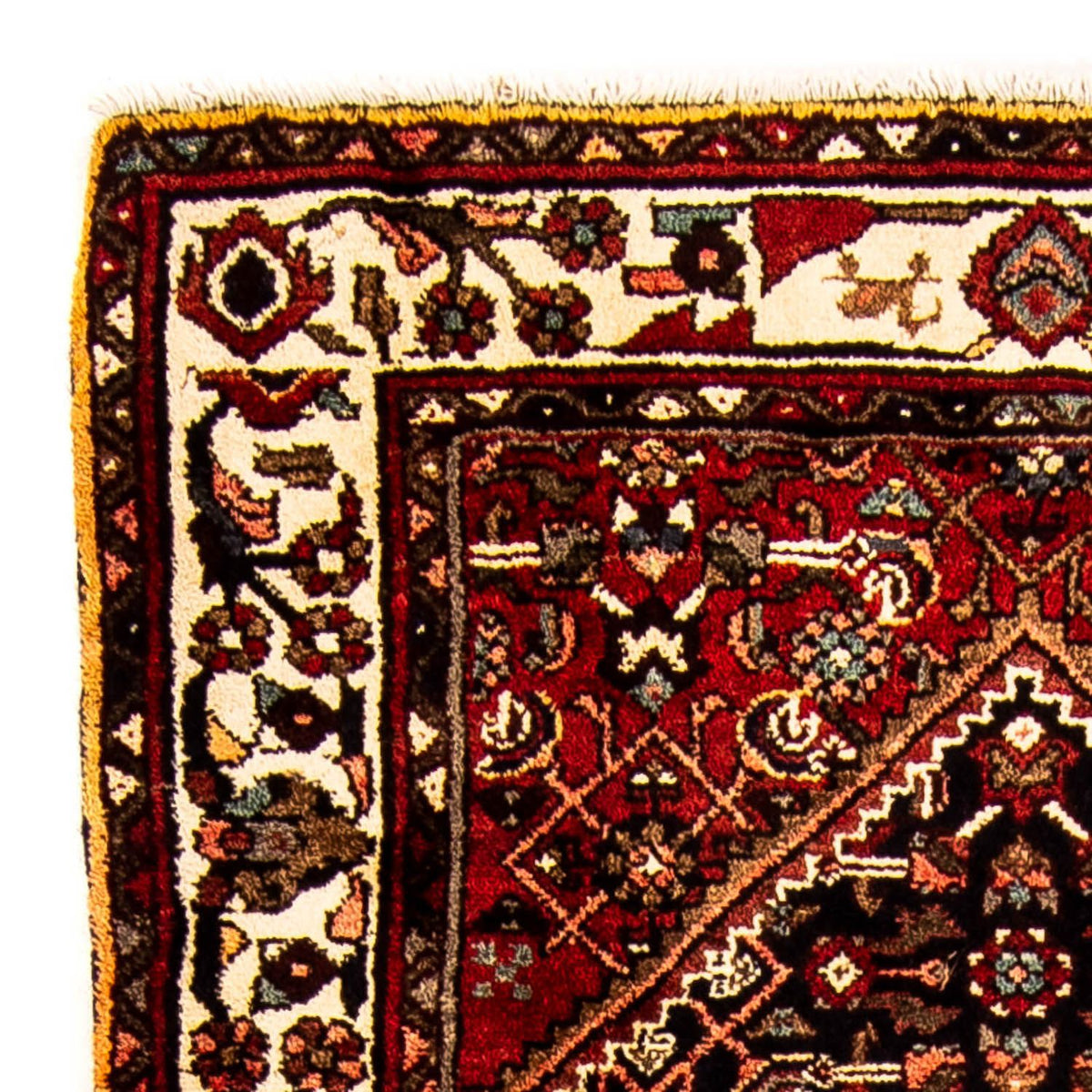 Hamadan Mattan 100x228cm - Persisk matta