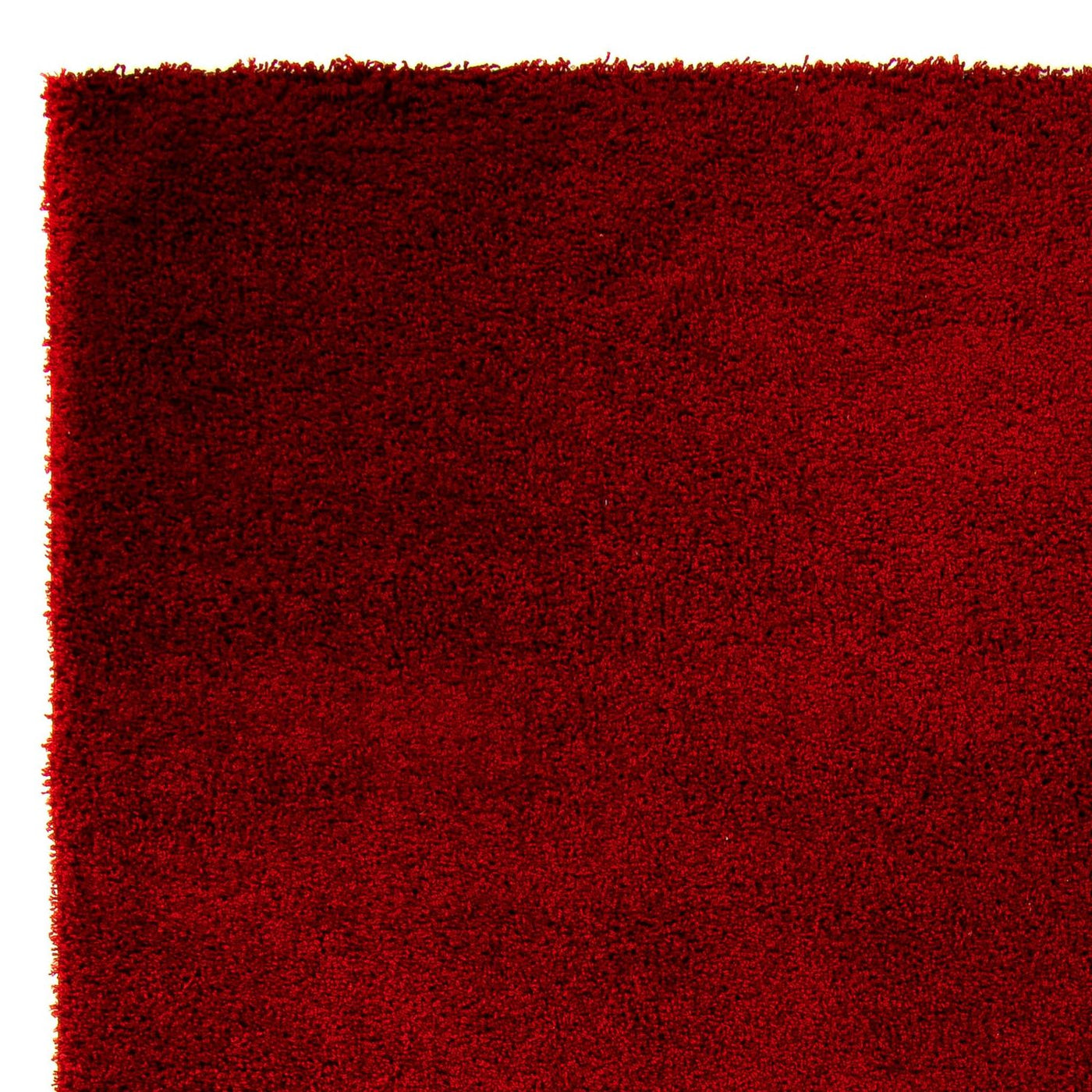 Shaggy Mattan 290x200cm - Shaggy Teppich