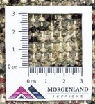 Oriental Carpet - 160 x 90 cm - röd