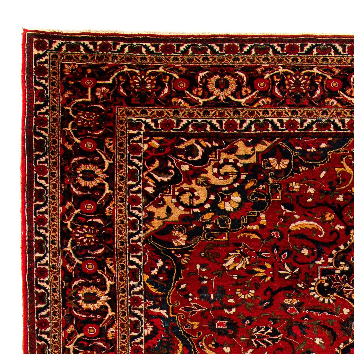 Bakhtiari Mattan 226x335cm - Persisk matta