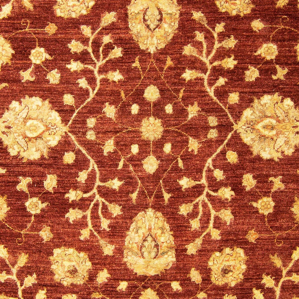 Ziegler Carpet - 270 x 195 cm - brun