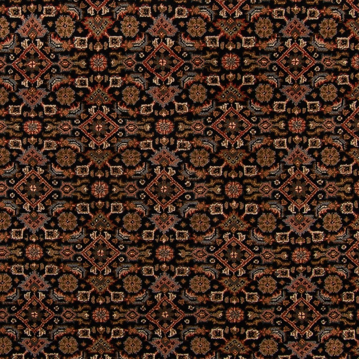 Orientaliska mattor - Bijar - Indus - 306 x 254 cm - mörkblå