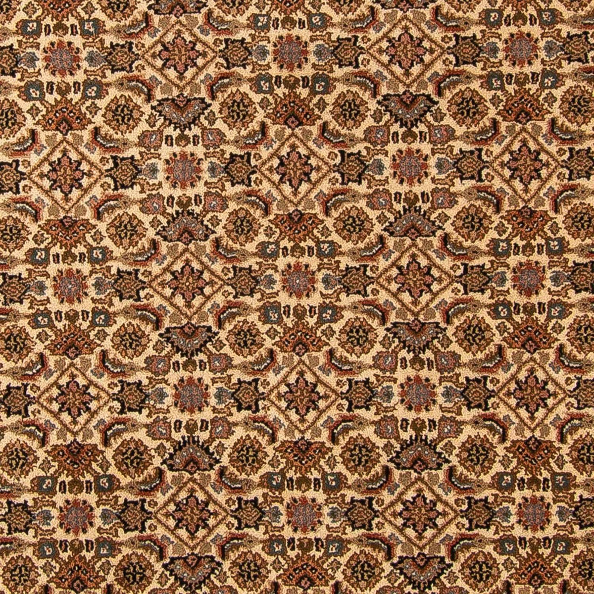 Orientaliska mattor - Bijar - Indus - 309 x 250 cm - beige