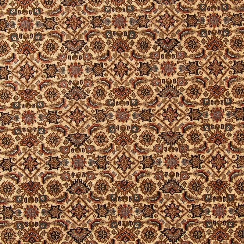 Orientaliska mattor - Bijar - Indus - 309 x 250 cm - beige