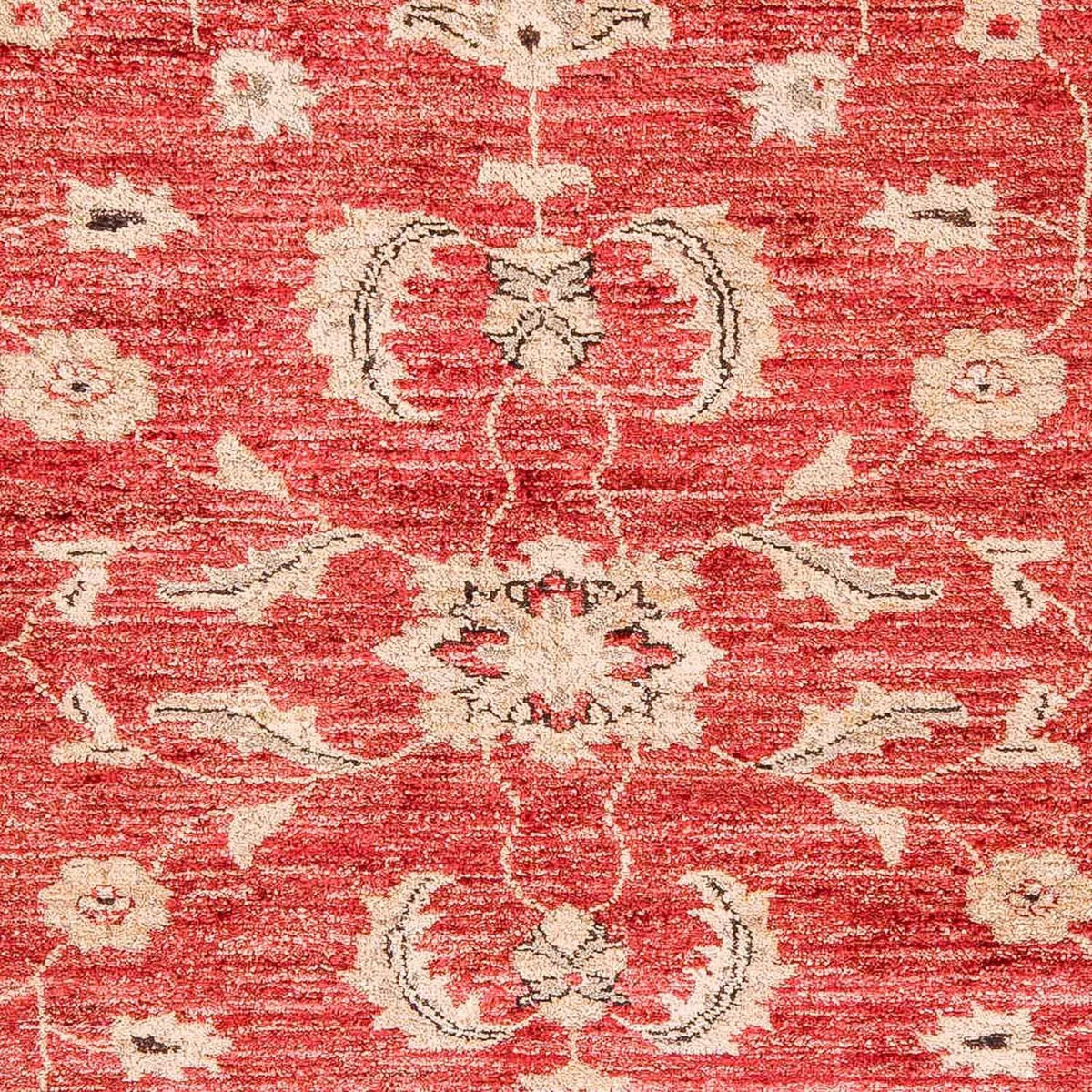 Ziegler Carpet - 327 x 239 cm - röd