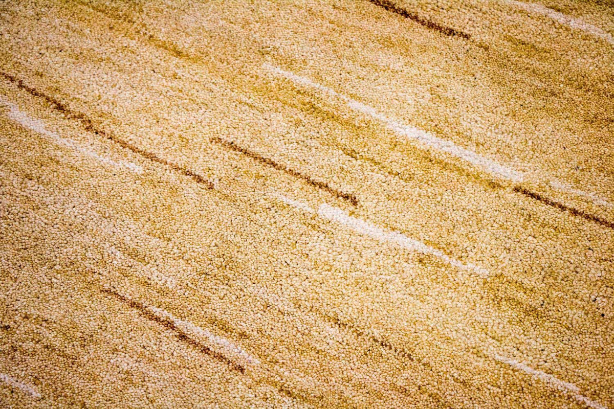 Gabbeh-matta - Indus - 242 x 150 cm - flerfärgad