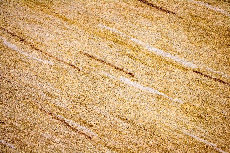 Gabbeh-matta - Indus - 242 x 150 cm - flerfärgad