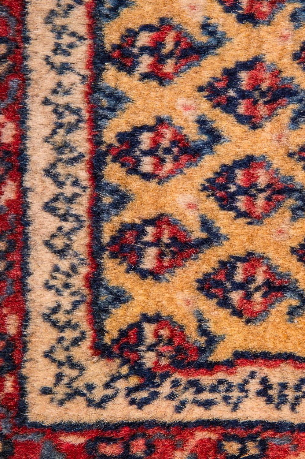 Persisk matta - Nomadic - 288 x 238 cm - beige