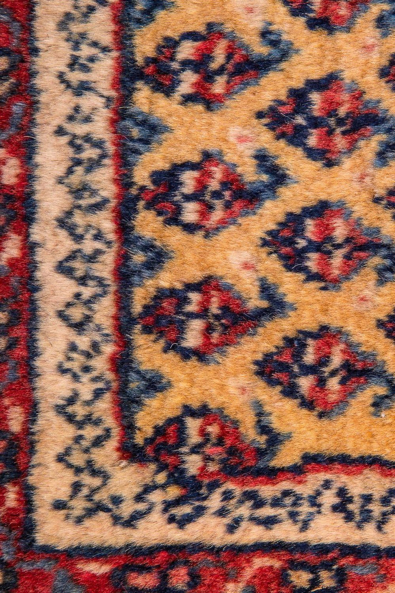 Persisk matta - Nomadic - 288 x 238 cm - beige