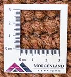 Nepal mattan - 140 x 70 cm - brun