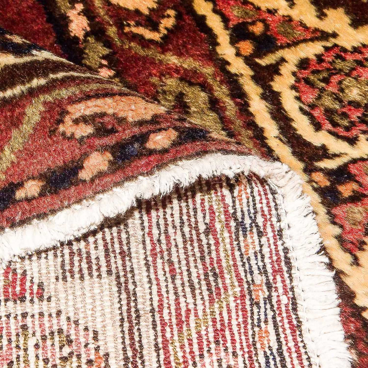 Persisk matta - Nomadic - 309 x 159 cm - flerfärgad