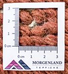 Nepal mattan - 140 x 70 cm - flerfärgad