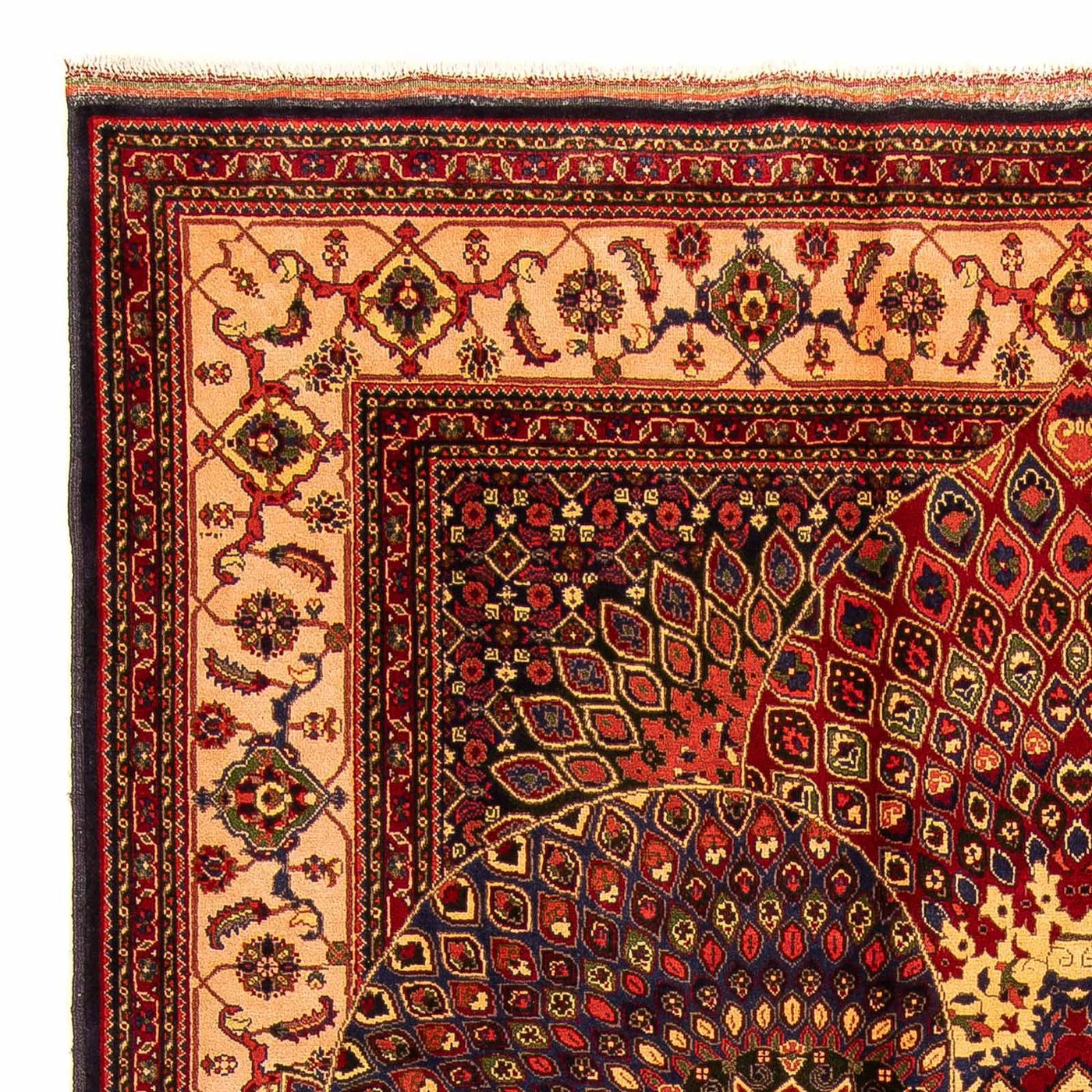 Afghansk matta - 279 x 198 cm - flerfärgad