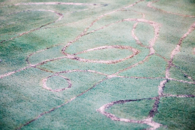 Designermatta - 244 x 154 cm - grön