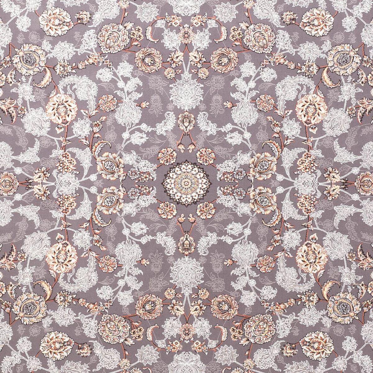 DKGY12-Dorsa-150x100