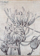 Designermatta 300x240cm - Designerteppich