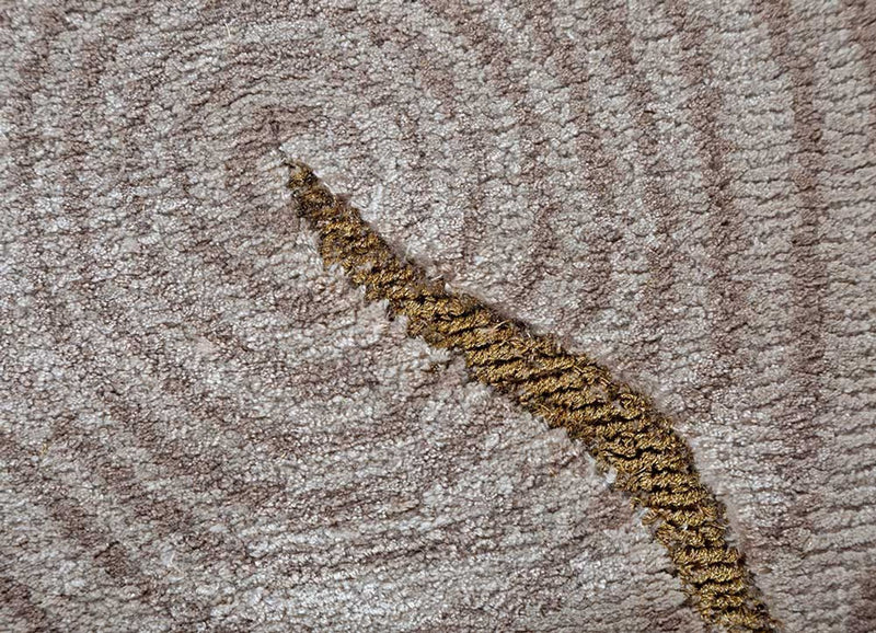 DP02-RUG1154930-180x180