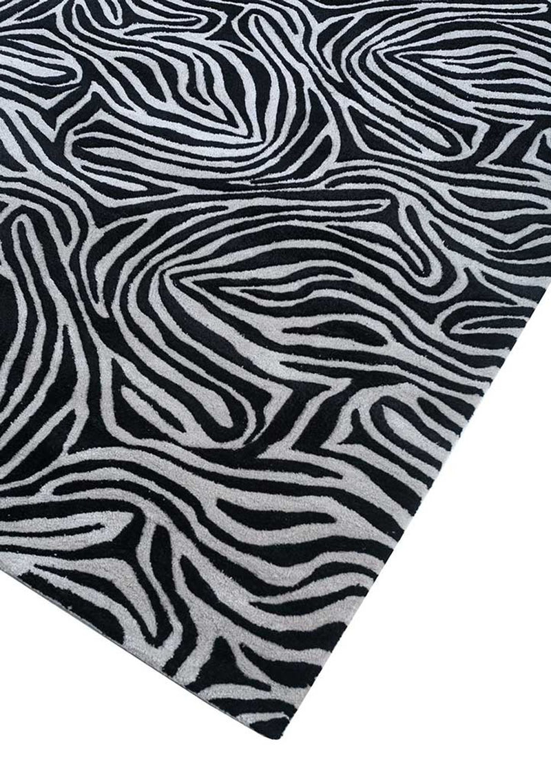 DP02-RUG1155655-240x150