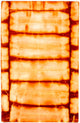 Vintage matta 183x118cm - Vintage matta