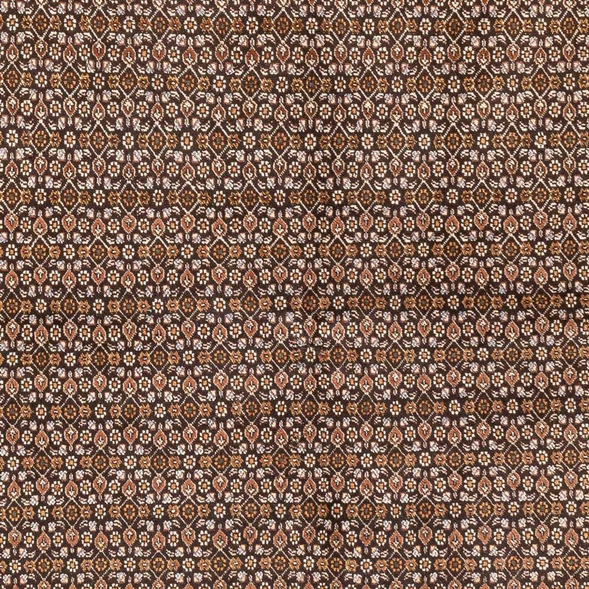 Persisk matta - Tabriz - Royal - 195 x 154 cm - mörk beige