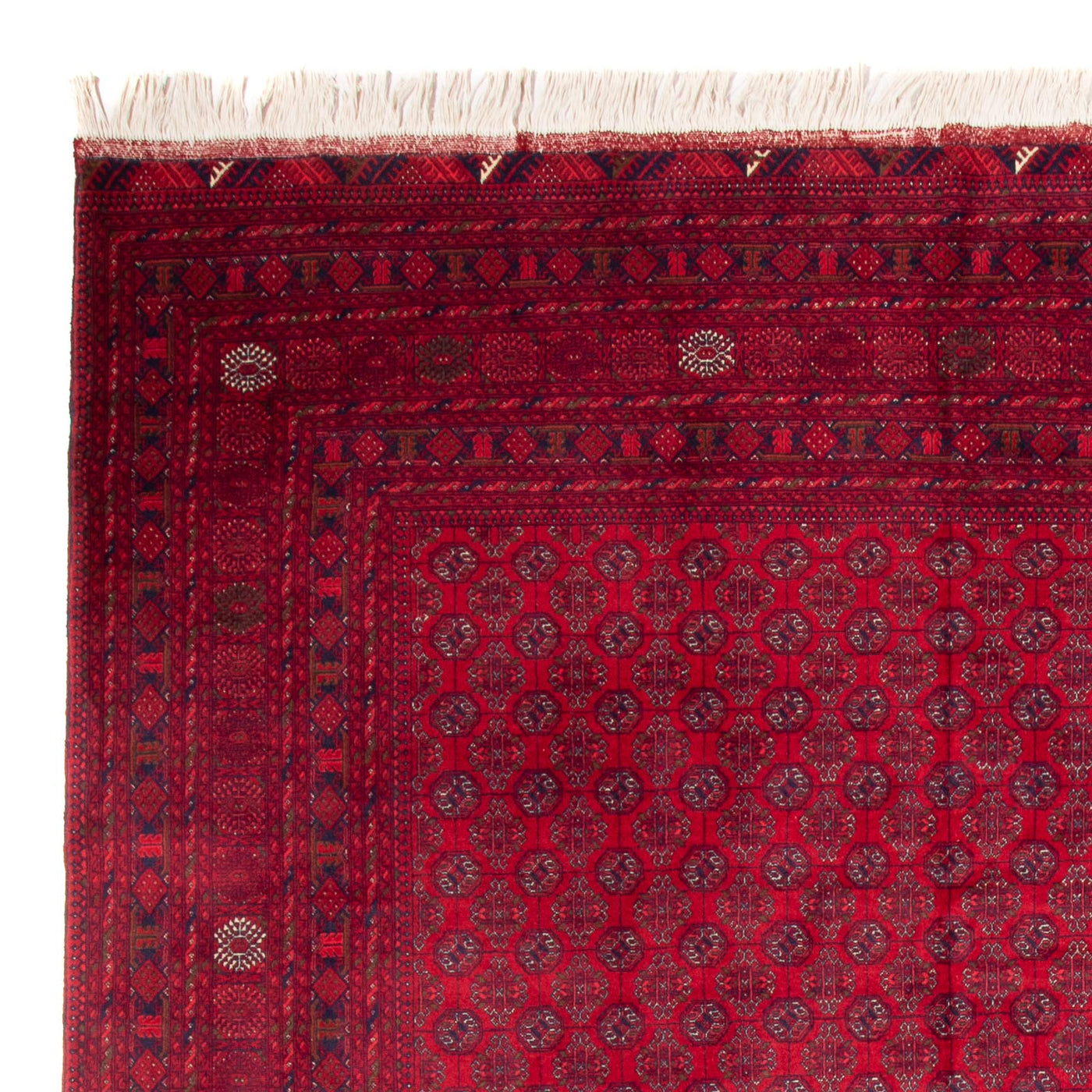 Bukhara Mattan 340x240cm - Oriental Carpet