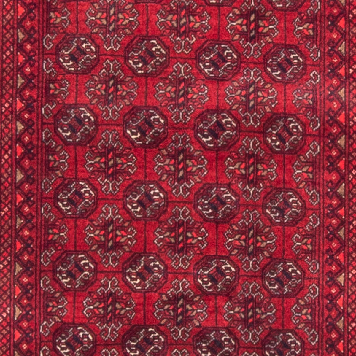 Runner Afghansk matta - Bukhara - 290 x 80 cm - röd