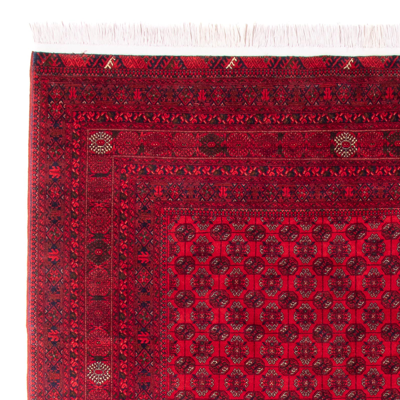 Bukhara Mattan 290x196cm - Oriental Carpet
