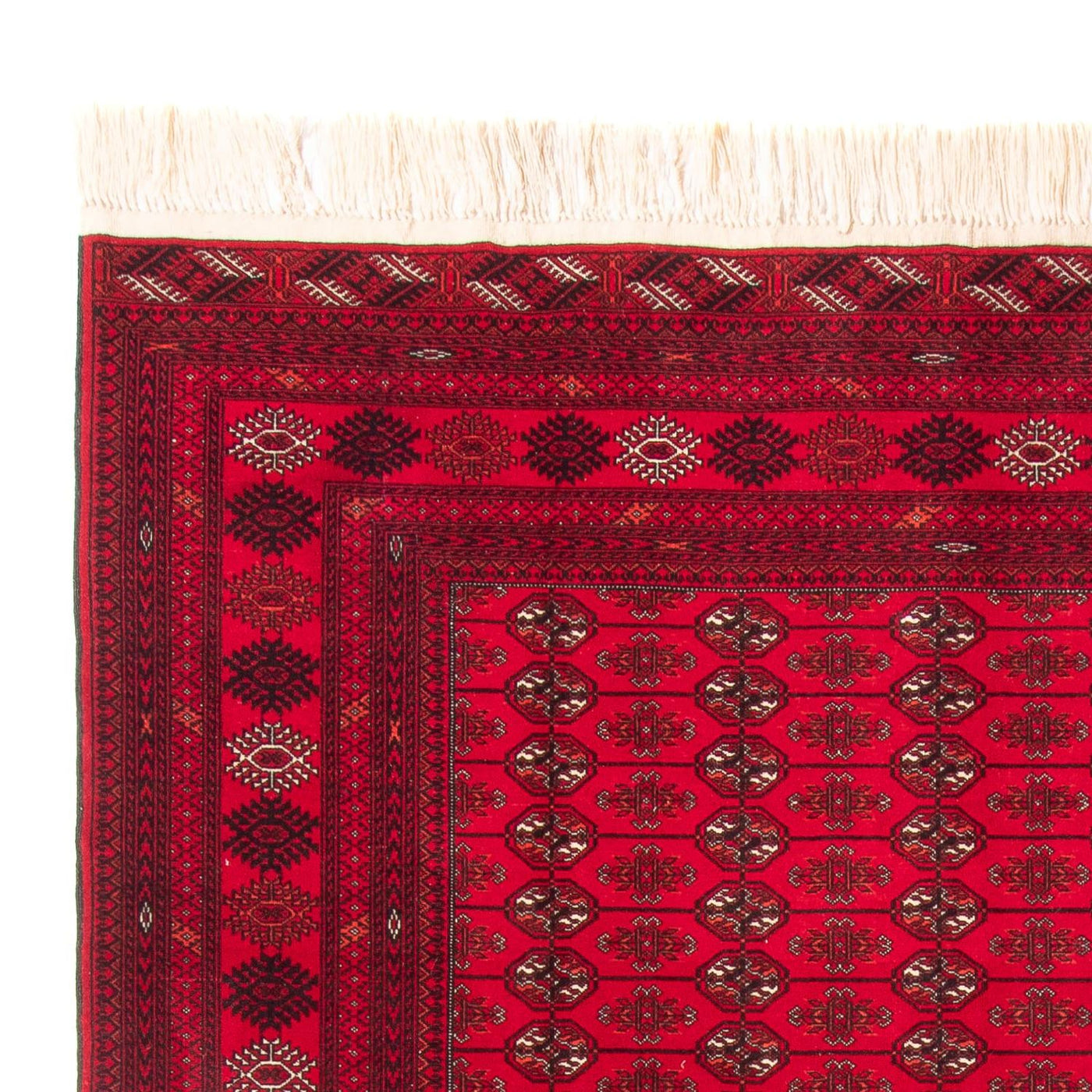 Bukhara Mattan 282x200cm - Oriental Carpet