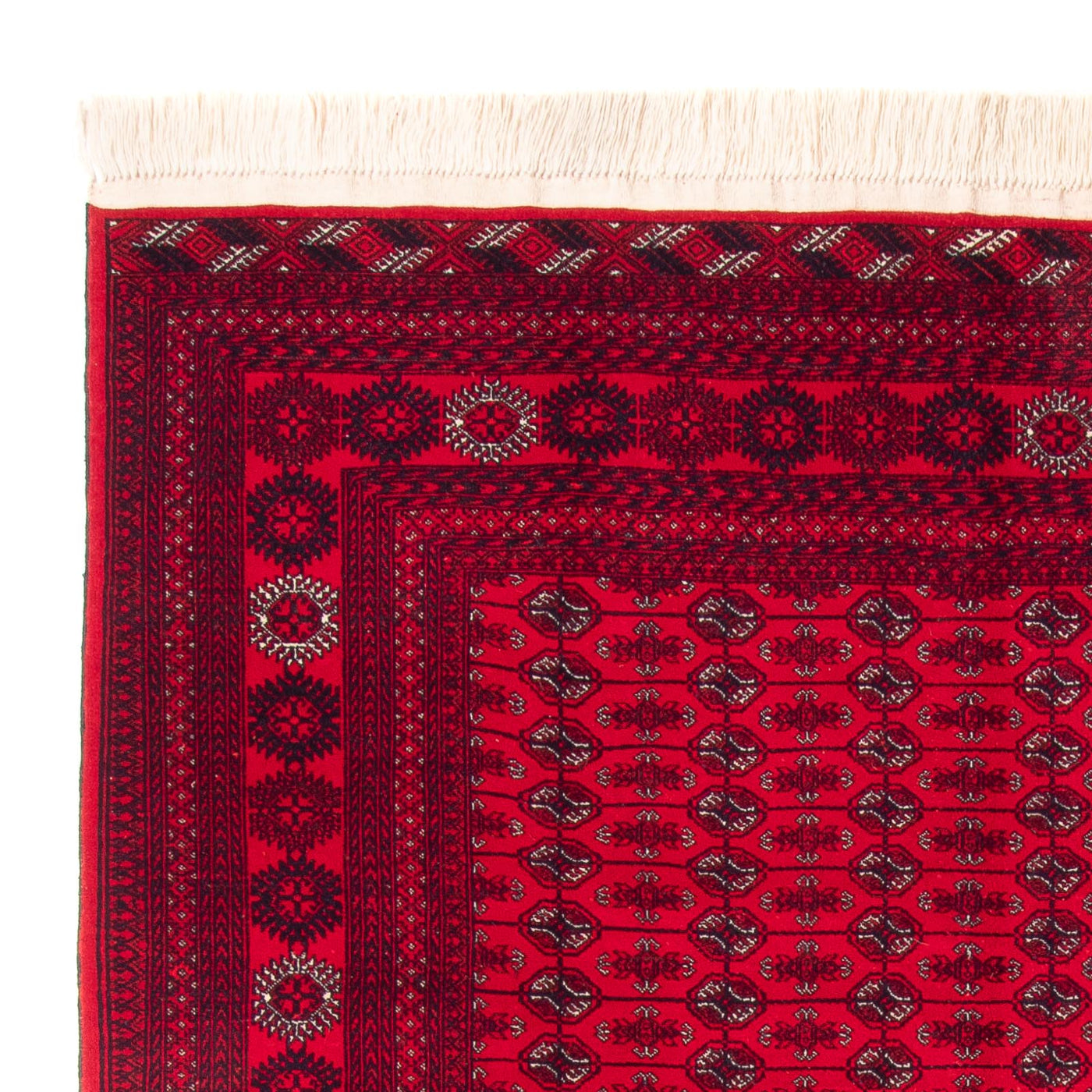Bukhara Mattan 292x200cm - Oriental Carpet