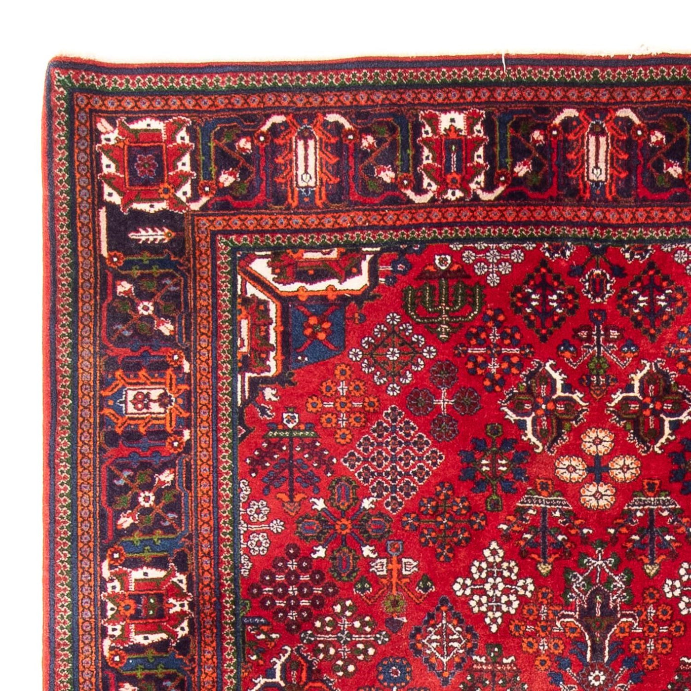 Shiraz Mattan 280x168cm - Persisk matta