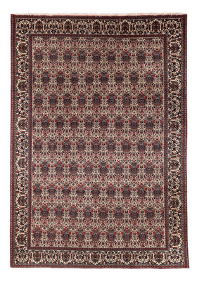 Persisk matta - Nomadic - 300 x 200 cm - mörk beige