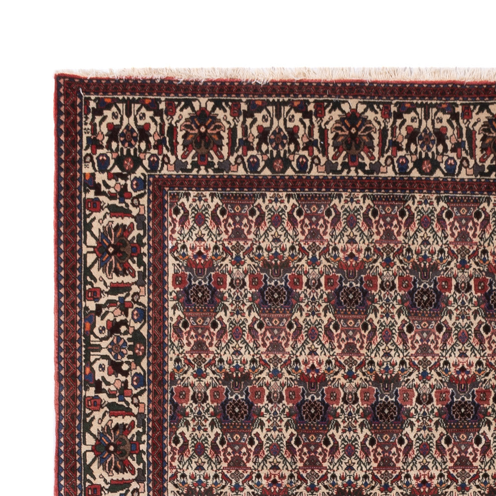 Persisk matta - Nomadic - 300 x 200 cm - mörk beige