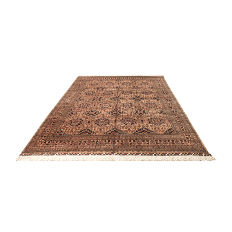 Afghansk matta - Bukhara - 344 x 246 cm - mörk beige