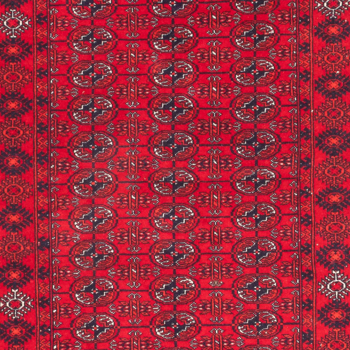 Runner Afghansk matta - Bukhara - 260 x 85 cm - röd