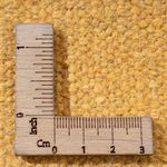 Kelim matta - trendig - 200 x 140 cm - flerfärgad