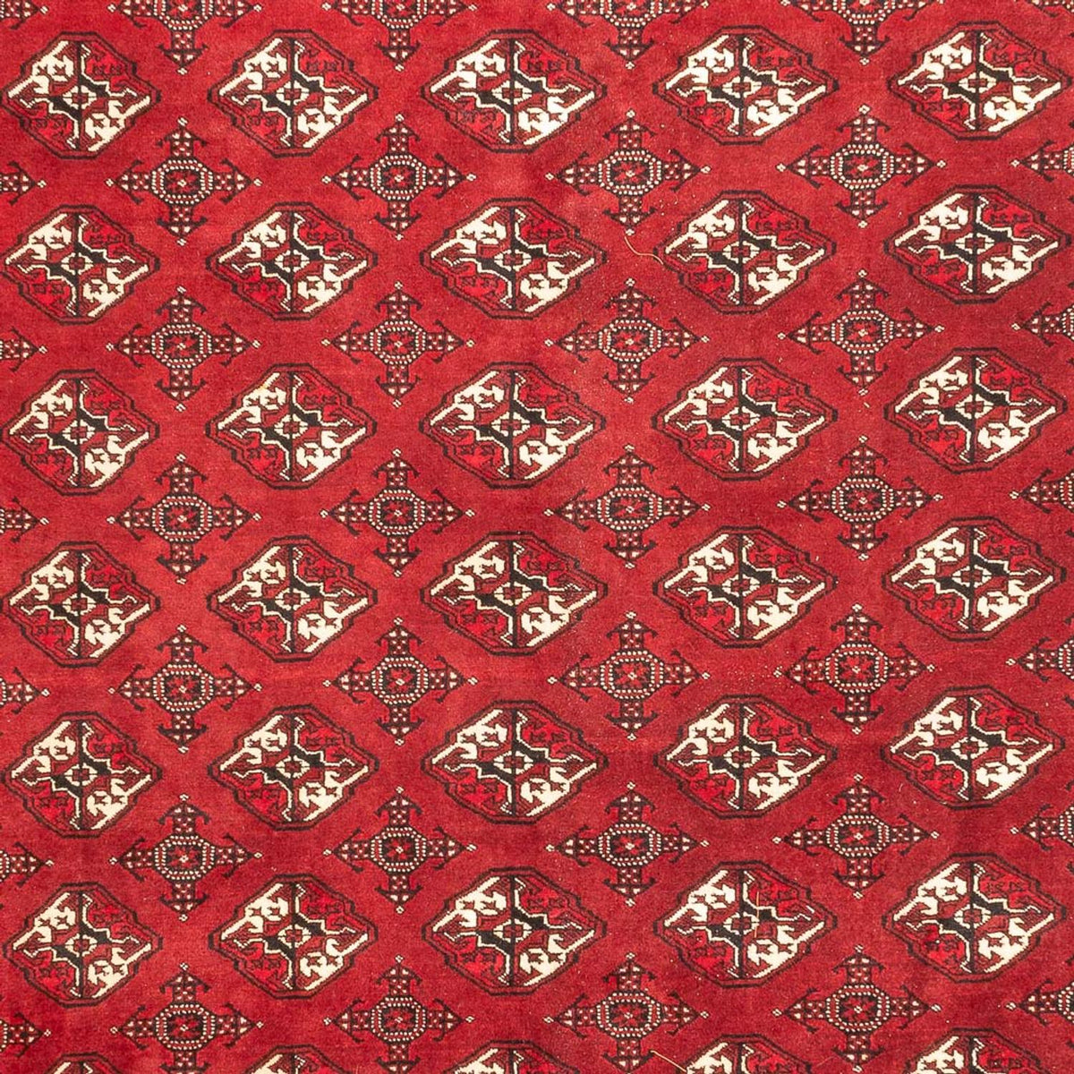 Turkaman-matta - 391 x 270 cm - röd