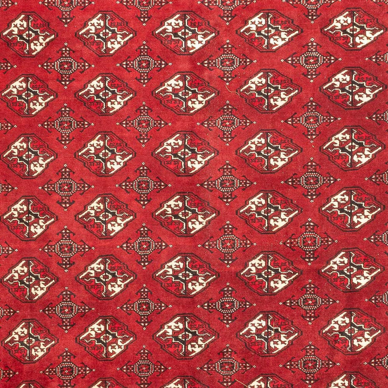 Turkaman-matta - 391 x 270 cm - röd