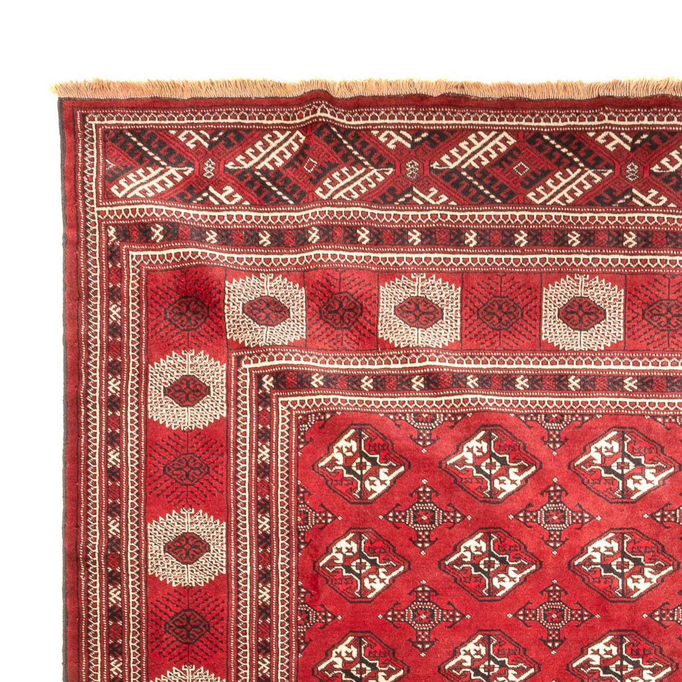 Turkaman-matta 391x270cm - Persisk matta