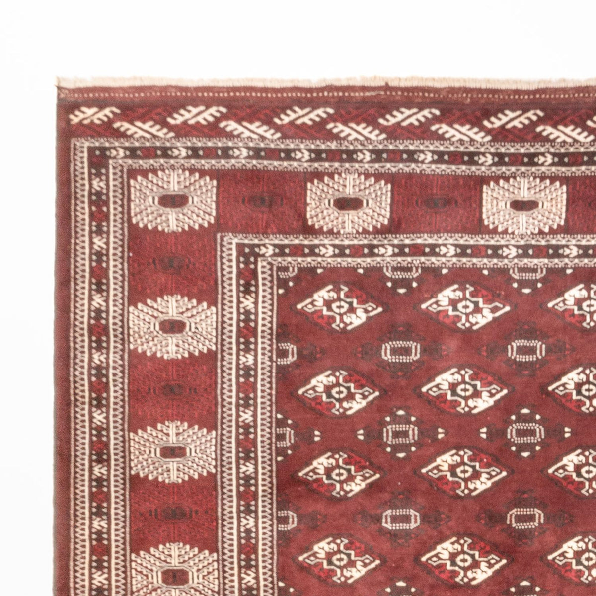 Turkaman-matta 260x380cm - Persisk matta