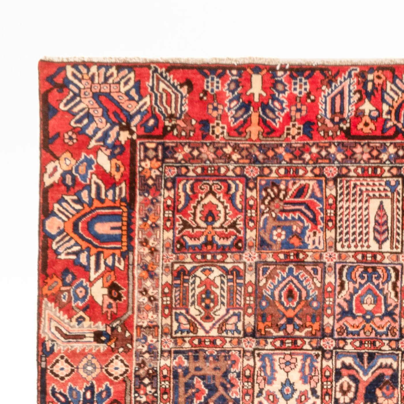 Bakhtiari Mattan 340x250cm - Persisk matta