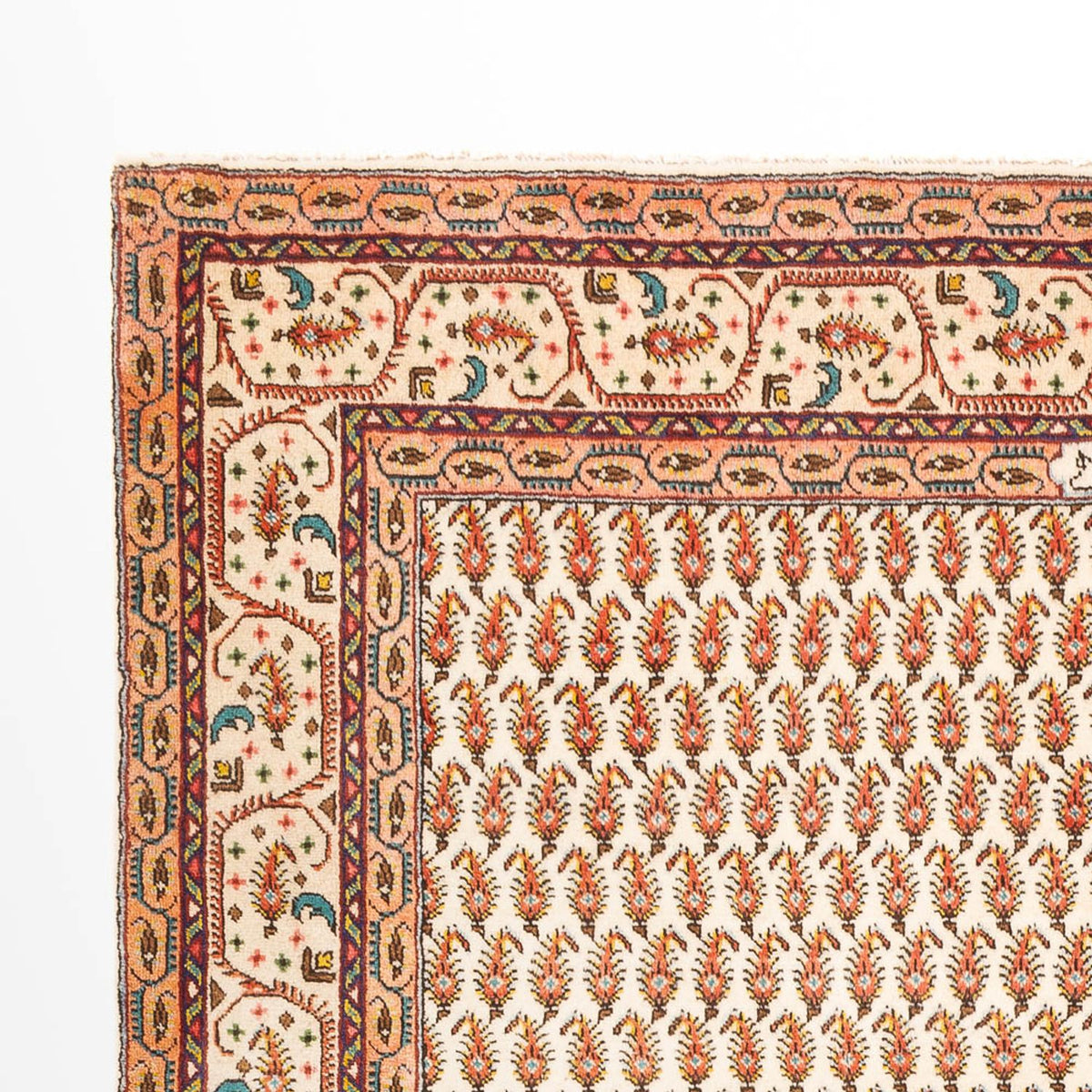 Persisk matta - Mir - 325 x 210 cm - beige