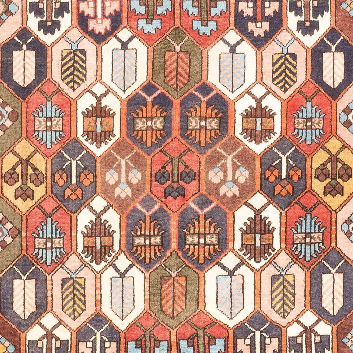 Persisk matta - Nomadic - 305 x 215 cm - flerfärgad