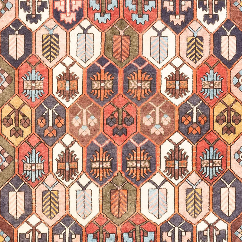 Persisk matta - Nomadic - 305 x 215 cm - flerfärgad