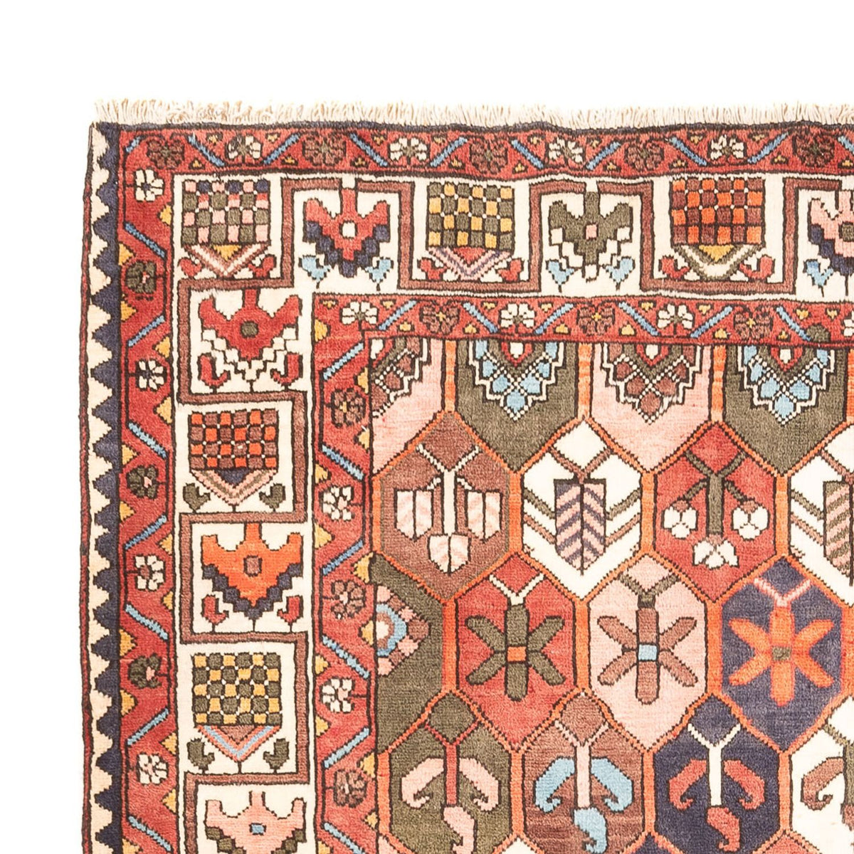 Persisk matta - Nomadic - 305 x 215 cm - flerfärgad