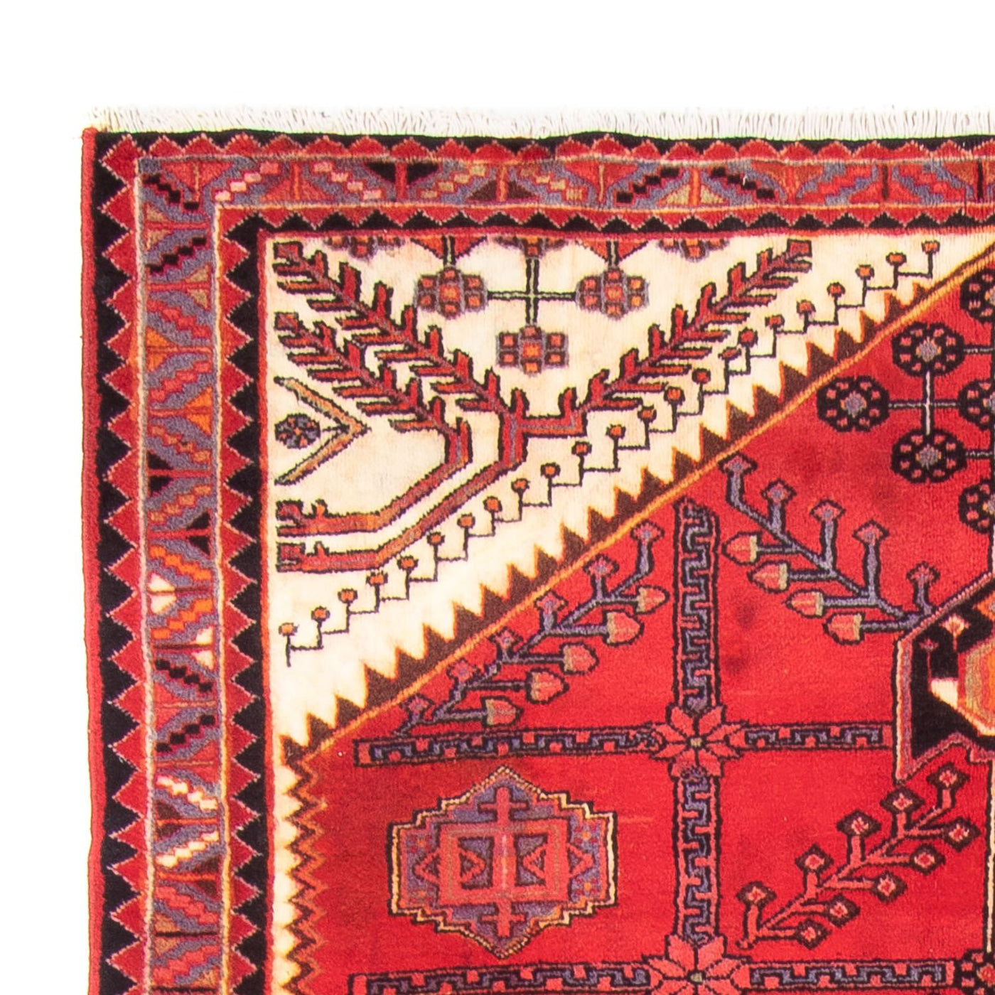 Hosseinabad Mattan 317x156cm - Persisk matta
