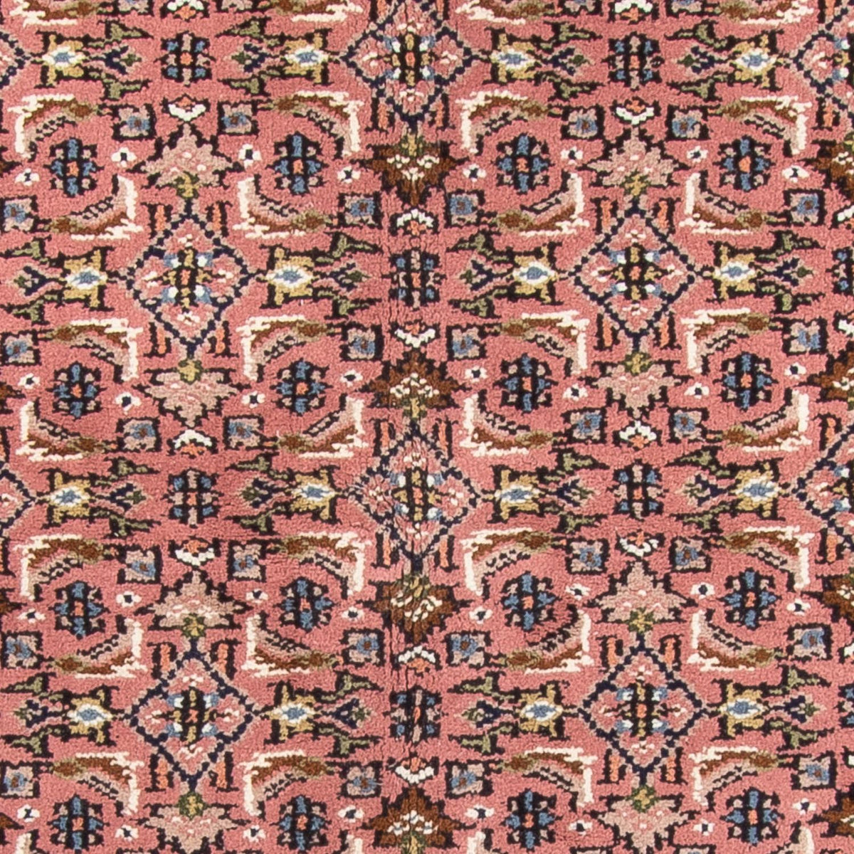 Orientaliska mattor - Bijar - Indus - 240 x 170 cm - lax