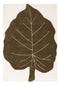 MT-Blatt-150x90---01.jpg