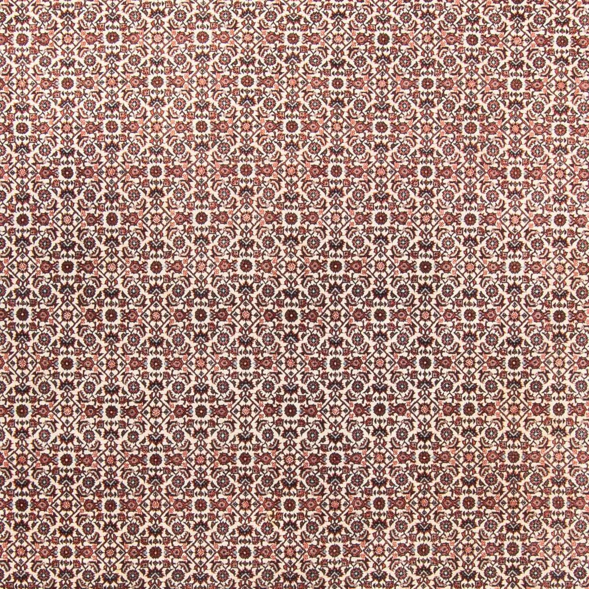 Persisk matta - Bijar - 340 x 250 cm - beige
