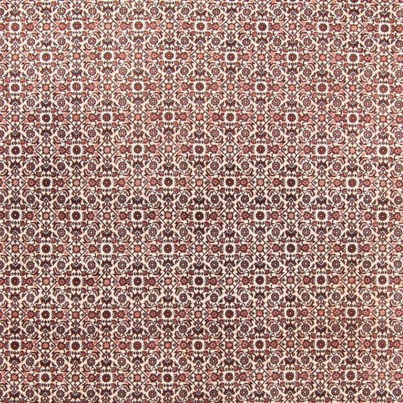 Persisk matta - Bijar - 340 x 250 cm - beige