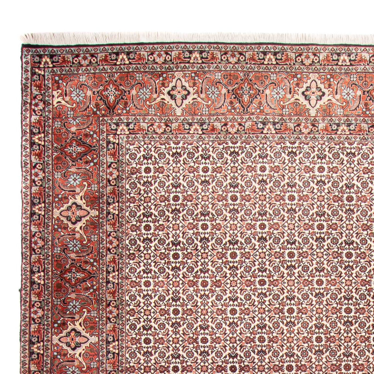 Persisk matta - Bijar - 340 x 250 cm - beige